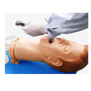 For which populations or scenarios is the multifunctional airway management model applicable?